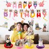 Coskingland Cat Birthday Party Decorations - 12PCS Cat Themed Birthday Party Decorations Supplies Cat Happy Birthday Banners Hanging Swirls Cute Cat Honeycomb Centerpieces Decor for Kids Girls