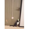 TuneYune Pet 3 PCS Cat Toy Door Hanging Teaser Cat Swing Toy Interactive Toy Hanging Door Retractable Cat Wand Toy Interactive Hanging Cat Toy Cat Mental Exercise Toy Cat Feather Toy for Play Chase