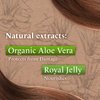 Tio Nacho Aloe Vera Deep Repair Shampoo: Organic Aloe Vera and Royal Jelly for Hair Repair and Protection, Enriched with Vegetable Keratin for Strength and Shine, Paraben, Salt, Silicone-Free - 14 Oz