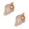 Mini Conch Hair Clip,Acetate Claw Clips,Hair Clips for Women,Pack of 2