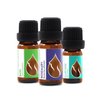 Set Hair Repair Organic Essential Oils | Basil (10ml) + Rosemary (10ml) + Clary Sage (5ml) | 100% Pure and Natural | Undiluted | Therapeutic Grade | Family-Owned Farm | Non-GMO | 3pcs