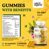 Wild & Organic Immune Support Gummies - Immune Support Supplement Gummy w/Echinacea, Ginger, Mullein, & Elderberry with Zinc and Vitamin C for Adults - Immunity Boost - 60 Chews