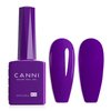CANNI Purple Gel Nail Polish, 1Pcs Dark Purple Gel Polish Deep Purple Color Nail Polish Gel High Gloss Soak Off U V Gel Nail French Nail Manicure Salon DIY