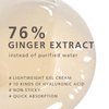 GINGER6 Active Water Cream 1.69 fl.oz. - Anti-Aging and Hydrating Facial Gel Moisturizer with Peptides, Hyaluronic Acid and Ginger Extract, Bouncy Lightweight Gel Formula, Natural Ingredients