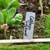 Mr. Pen- Garden Markers, Black, 4 Pack, Plant Markers, Garden Markers for Plants Outdoor Waterproof, Plant Markers for Seedlings, Waterproof Permanent Marker, Plant Markers for Outdoor Plants