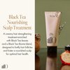 ANILLO Black Tea Nourishing Scalp Treatment 150ml / 5.07 fl. Oz, Daily Vegan Haircare Treatment with Black Tea, Black Tea Leaf and Amino Acids, Deep Cleanse and Strengthen the Scalp Barrier