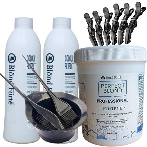Perfect Blond 17 Oz/1.1 lbs Hair Toner Dye Lightener Bleaching Powder Kit + 30 Vol Developer Bundle 5 pcs (Blue Lightening Powder)