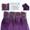 Tape in Hair Extensions Real Human Hair Purple Invisible Remy Hair 14 inch Tape Hair Extensions Seamless Skin Weft Extensions 20pcs 30g for White Women