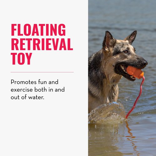KONG Aqua Floating Fetch Toy - Dog Floating Toy for Water Retrieval, Play, Exercise & More - Natural Rubber Dog Toy with Foam Interior & Rope for Farther Throwing - Orange, for Medium Dogs