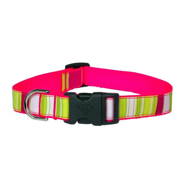 XSmall Neon Pink/Multi Stripe Dog Collar: 1/2" wide, Adjusts 6-12" - Made in USA.