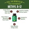 Methyl B12 Vitamin + Whole Food Blend of 25 Vegetables and Fruits for Max Absorption. Vegan Vitamin B12 Methylcobalamin - Methyl B-12 Supplement for Energy, Focus and Relief. 30 Day Supply Capsules