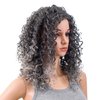 SWACC 20-Inch Long Big Bouffant Curly Wigs for Women Synthetic Heat Resistant Fiber Hair Pieces with Wig Cap (Gray Mixed Highlights)