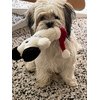 Glory To Dog Naughty or Nice Snowman Plush Christmas Dog Toy with Squeaker and Bell