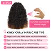 BEACIYA Wear and Go Glueless Wigs Human Hair Pre Cut Pre Plucked 250 Density 6x4 HD Lace Closure Wigs Human Hair No Glue Kinky Curly Wigs Human Hair for Black Women 24 Inch