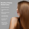 SVATV Brown Henna Hair Color with Goodness of 9 Herbs | Henna Mehndi for Hair, Make Hair Soft & Shiner Natural Hair Color for Men & Women 227g,08oz Half Pound