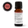 Plant Therapy Frankincense Serrata Essential Oils 100% Pure, Undiluted, Natural Aromatherapy, Frankincense Oil for Diffuser, Skin, Massage, & Joint Health, Therapeutic Grade 10 mL (1/3 oz)