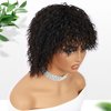 Fancy Hair Short Curly Wig with Bangs Glueless BeBe Curly Wigs Synthetic Afro Kinky Curly Wig for Black Women Men