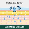 Breezytail PetO’Cera Cat Shampoo | All-in-one Cat Shampoo | Hypoallergenic Itch Relief &Moisturizing | Veterinarian Approved and Formulated Shampoo for Cats (1 Bottle (10.1oz))