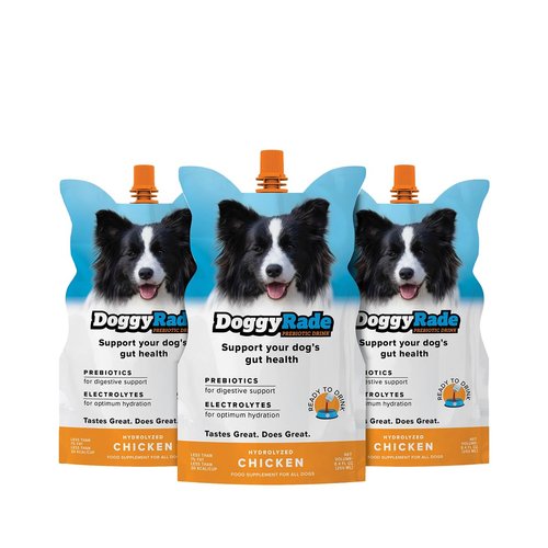 DoggyRade – Dog Sports Drink (Prebiotic, Isotonic Drink for Dogs) | Electrolytes, Nutrients & Amino Acids | Quick Hydration Drink for Dogs + Low Cal | More Than Just Water! | Chicken Flavor | 3x250ml