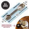 AllSpice Stainless Steel Double Sided Measuring Spoon- Teaspoon and Tablespoon
