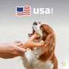 Benebone Indestructible Wishbone Dog Chew Toy for Aggressive Chewers, Long Lasting Tough Boredom Breaker for Dogs, Real Peanut Flavour, For Medium Dogs, Made in the USA.