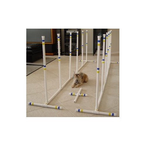 Indoor/Outdoor Dog Agility Weave Poles - Set of 12
