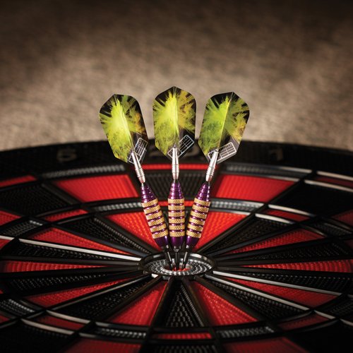 Viper Spinning Bee Soft Tip Darts with Casemaster Storage/Travel Case, Purple, 16 Grams