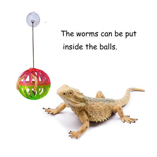 Fejapa 12 Pack Lizard Bearded Dragon Feeding Toys Exercise Ball Bells Reptile Food Toys Ball Interactive Toys Feed Toys for Chameleons Gecko Small Animals Reptile Habitat Terrarium Tank