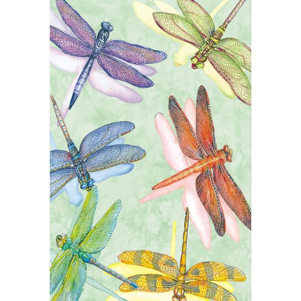 Tree-Free Greetings EcoNotes 12 Count Dragonflies All Occasion Notecard Set with Envelopes, 4 x 6 Inches (FS66500)