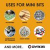 GYROS 12 PCS #80 Micro Drill Bit Set – Small Drill Bits for Jewelry, Plastic, Resin, & Soft Metal – High-Speed Steel Wire Gauge Mini Twist Drill Bit Set for Pin Vise Hand Drill & Rotary Tool
