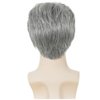 Kaneles Mens Grey Short Wigs Mix White Layered Natural Wig Synthetic Halloween Daily Hair Wig for Male Guy