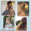 3pcs Frangipani Flower Acrylic Hair Clip for Women Summer Flowers Hair Accessories Yellow Blue Pink Floral Hair Claw Clips Hawaii Hair Barrettes Alligator Clips for Thick Hair and Thick Hair