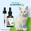 Pet Wellbeing Kidney Support Gold for Cats - Vet-Formulated - Supports Healthy Kidney Function in Cats - Natural Herbal Supplement 2 oz (59 ml)