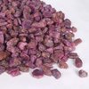 Natural Raw Red Star Ruby Crystal Healing Untreated Raw Rough Loose Gemstones 250 Ct. Lot…, Healing Crystal