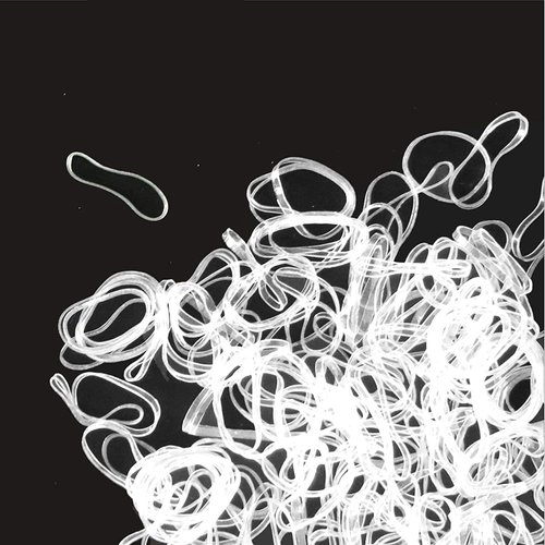 Clear Elastic Hair Bands，BEBEEPOO 500pcs Mini Hair Rubber Bands with a Box, Soft Hair Elastics Ties Bands 2mm in Width and 30mm in Length for Girls Kids Women