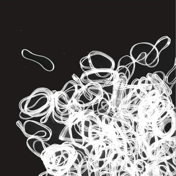 Clear Elastic Hair Bands，BEBEEPOO 500pcs Mini Hair Rubber Bands with a Box, Soft Hair Elastics Ties Bands 2mm in Width and 30mm in Length for Girls Kids Women