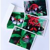 Butterfly Note Cards Original Elegant Photographic Textured White Blank 4.25"x 5.50" Boxed Set 8 W/Matching Envelopes in Plastic Jacket Thank You Invitations Birthdays Greetings