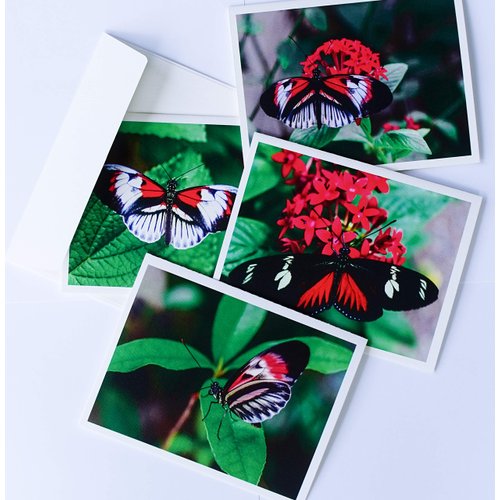 Butterfly Note Cards Original Elegant Photographic Textured White Blank 4.25"x 5.50" Boxed Set 8 W/Matching Envelopes in Plastic Jacket Thank You Invitations Birthdays Greetings