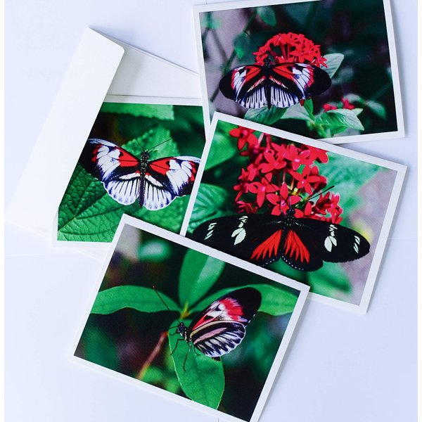Butterfly Note Cards Original Elegant Photographic Textured White Blank 4.25"x 5.50" Boxed Set 8 W/Matching Envelopes in Plastic Jacket Thank You Invitations Birthdays Greetings