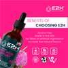 E2H Uric Acid Support Supplement - Tart Cherry and Devil’s Claw - Supports Uric Acid Health and Kidney Function Non-GMO - Vegan - (2 Bottles)