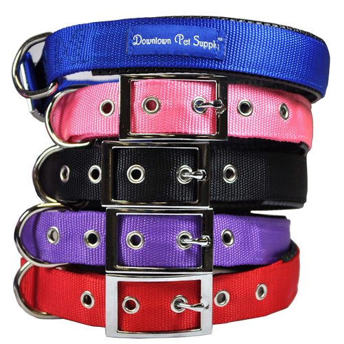 Downtown Pet Supply Deluxe Dog Collar - Padded Adjustable Dog Collar with Metal Buckle & D-ring - Machine Washable & Water Resistant Thick Dog Collar - Blue - S - Small Dog Collar