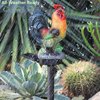 ZFNN Solar Rooster Lights Outdoor Decorative,Solar Chicken Decor Garden Stakes Lights,Waterproof Chicken Statue with Led Lights Yard Art for Pathway Lawn Patio Courtyard Backyard(Warm White)