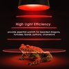 Briignite G9 Infrared Heat Lamp Bulbs for Reptile, Mini Reptile Light, Dimmable Night Red UVA Reptile Heat Lamp, 2 Pin Base Mini Heat Bulbs 50W, Bearded Dragon Turtle Lizard, 2Pack