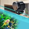 Lychee Aquarium Fish Feeder Vacation Aquarium Automatic Fish Food Dispenser Tank Feeder Timer Auto Feeders for Holiday Vacation Fish Dispenser (AF-2003)