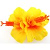 Double Yellow Hibiscus Silk Flower Hair Clip with Teeth