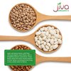 Jiva Organic Light Red Kidney Beans Speckled Whole (Rajma Chitra) 2 Pound Bag