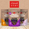 Cloud Star Tricky Trainers Soft & Chewy Dog Training Treats 14 oz Pouch, Liver Flavor, Low Calorie Behavior Aid with 360 treats