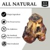 K9 Connoisseur Single Ingredient Dog Bones Made in USA for Large Breed Aggressive Chewers All Natural Long Lasting Meaty Mammoth Marrow Filled Knuckle Bone 1 Pack