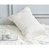 INSSL Silk Pillowcase for Women, Mulberry Silk Pillowcase for Hair and Skin and Stay Comfortable and Breathable During Sleep (Standard, Ivory)