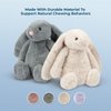 Best Pet Supplies Interactive Bunny Buddy Dog Toy with Crinkle and Squeaky Enrichment for Small and Medium Breed Puppies or Dogs, Cute and Plush - Bunny (Beige), Small
